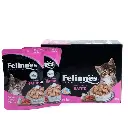 Felinnes Premium Kitten Wet Cat Food in Beef & Milk Flavor 85g, 12 pc per Box