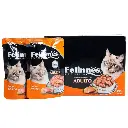 Felinnes Premium Wet Cat Food in Salmon Flavor 85g, 12 pc per Box