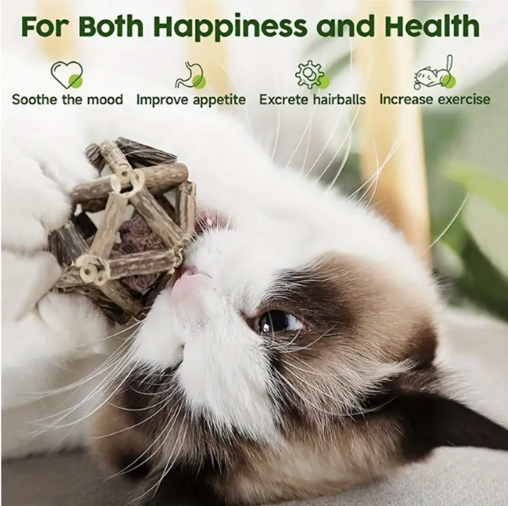 Shurhome Matatabi Stick Cat Toy - Natural Grass Teething Stick For Cats, Helps With Hairballs & Dental Health